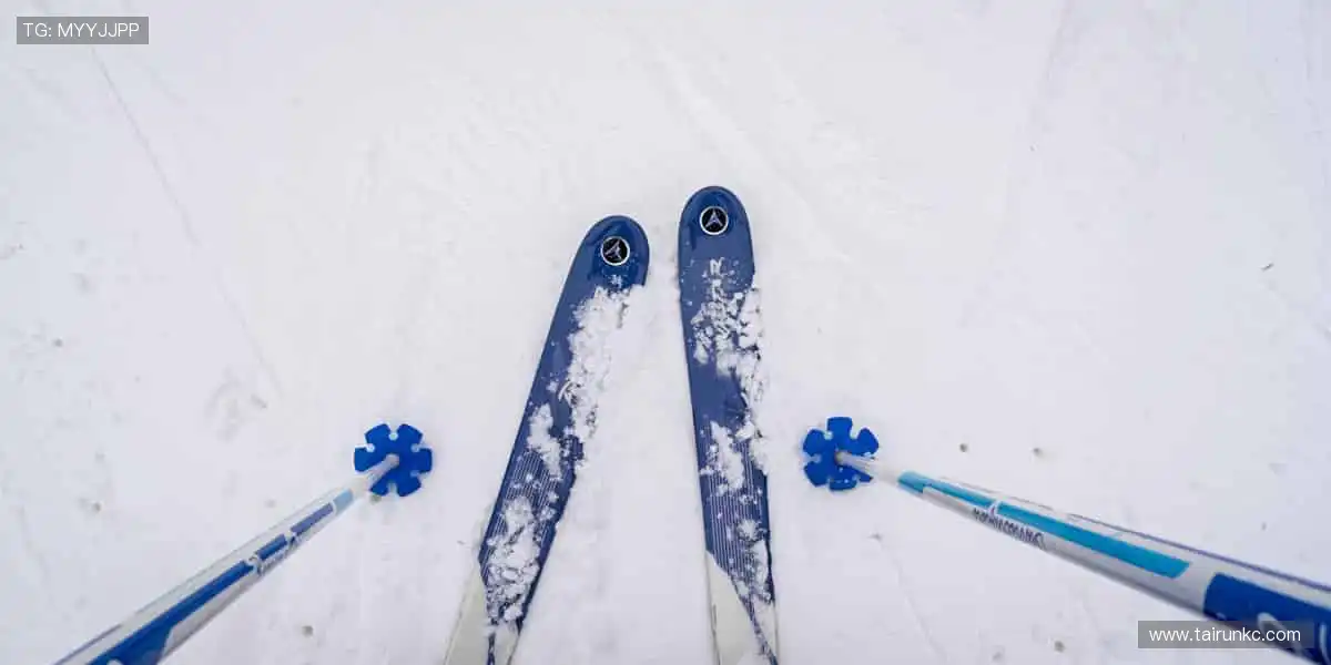 📱🏀 直播时刻,随时掌控!